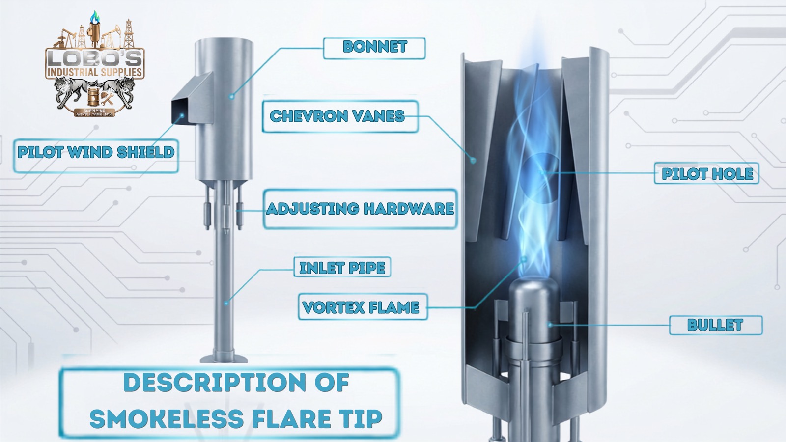 Anatomy Of The Tip